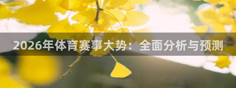 2026年体育赛事大势：全面分析与预测