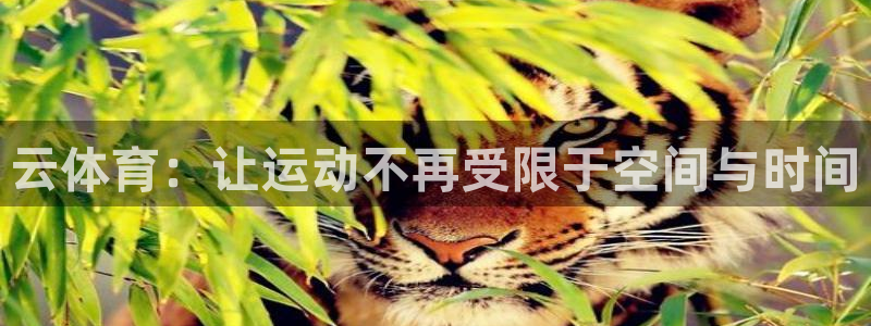 云体育：让运动不再受限于空间与时间