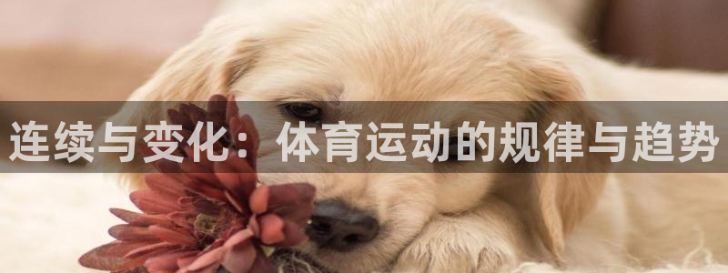 连续与变化：体育运动的规律与趋势